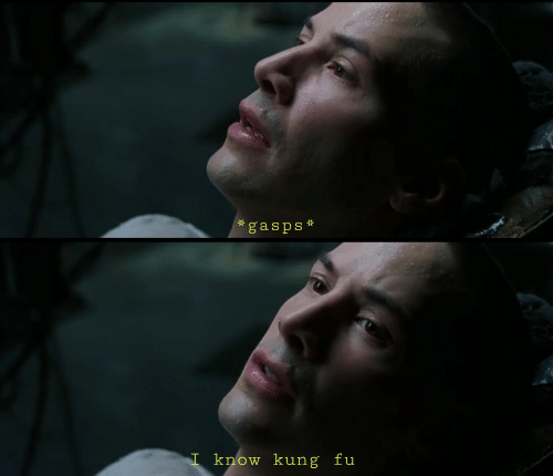 Neo: *gasps* ... I know kung fu